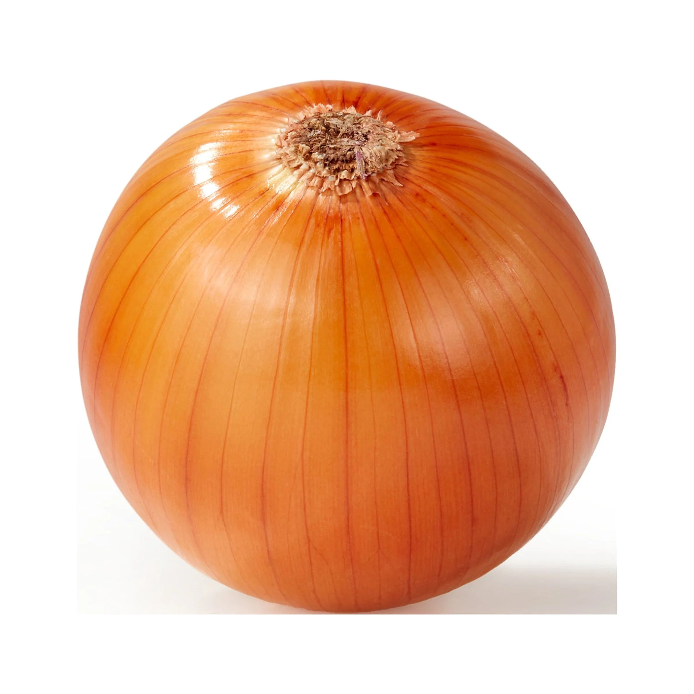 Onion